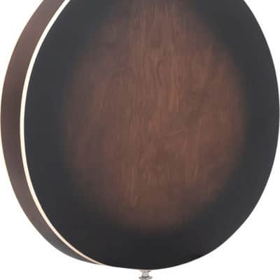 Gold Tone A-6 A-Style Acoustic-Electric Mandolin/Guitar, Solid Spruce Top, Tobacco Burst Satin image 3