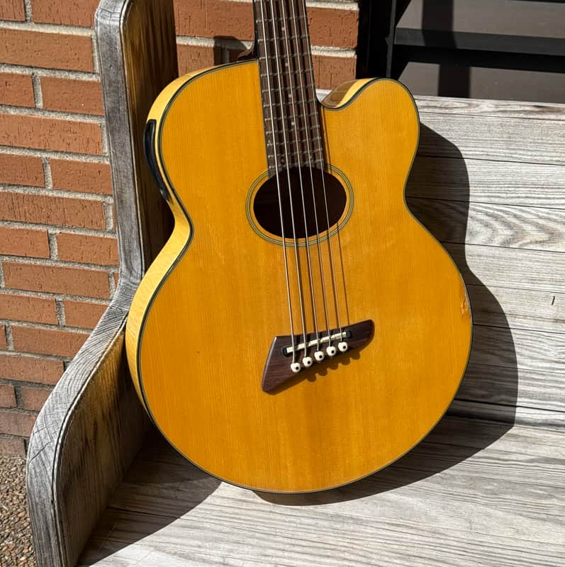 Tobias Toby Pro 5ce 5 String Acoustic Bass image 1
