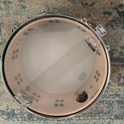 Sonor SQ2 Snare Drum 14 x 6 Medium Maple – High Gloss American Walnut image 9