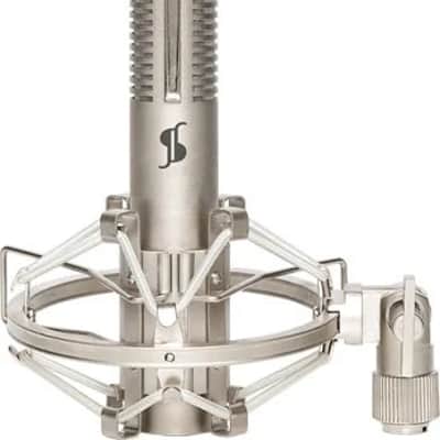 Stereo ribbon microphone