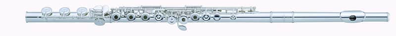Pearl Quantz Series Intermediate Flute, Offset G, B Footjoint, and Split E (505RBE1RB) image 1