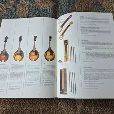 Vintage 1966 Gibson Full-Line Full-Color Catalog! Rare, Original Case Candy, Paperwork! image 8