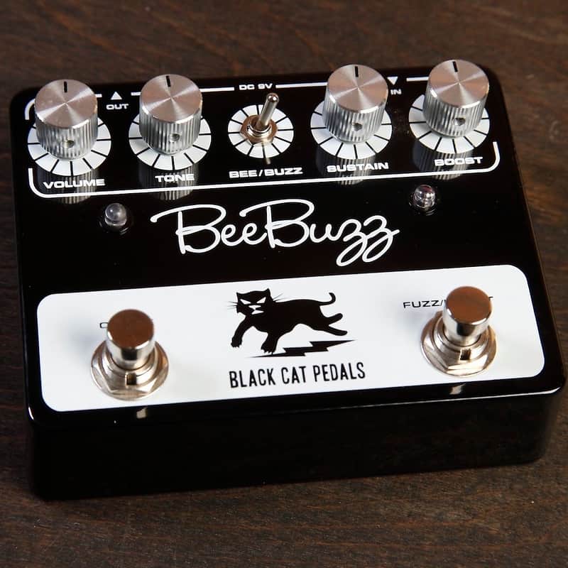 Black Cat Bee Buzz image 1