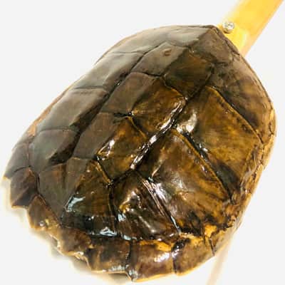 Turtle Shell Electric Guitar image 2