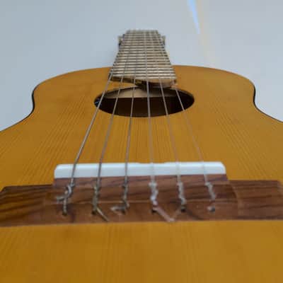 Yamaha Guitalele w/ pro LR Baggs FIVE.O Pickup - GL-1 6-String Ukulele image 14