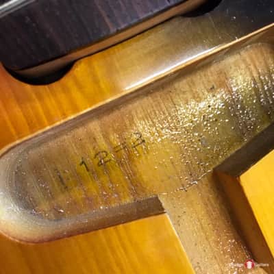 Tokai Silver Star SS48 1982 sunburst image 5