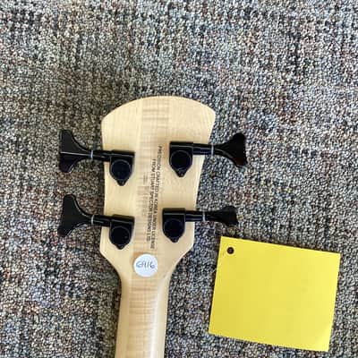 Spector Q4 Bass image 6
