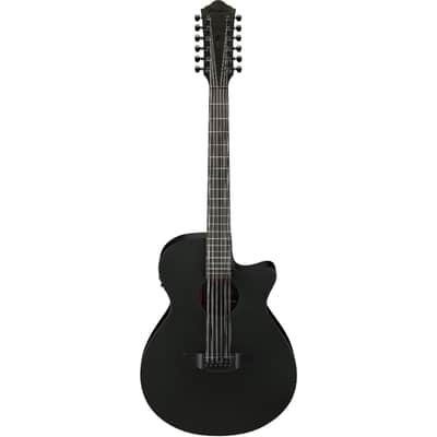 Ibanez AEL20E-TKS 6-String Acoustic-Electric Guitar | Reverb