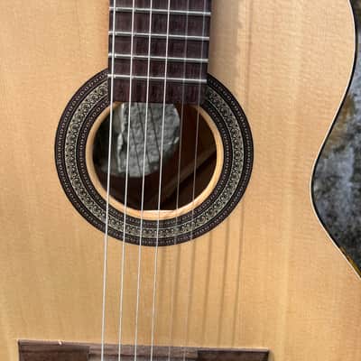 Goodman Double neck Guitar -Steel String/Nylon String-one of a kind! image 6