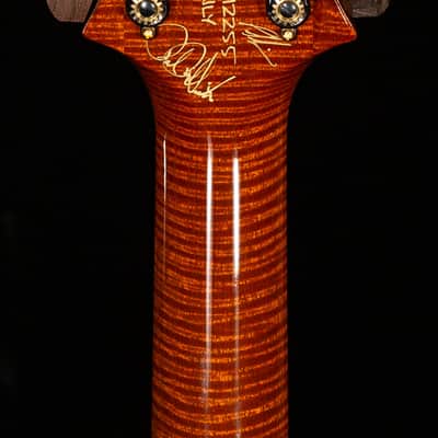 PRS Private Stock 12255 Hollowbody II Quilt Autumn Dragon's Breath (410) image 7