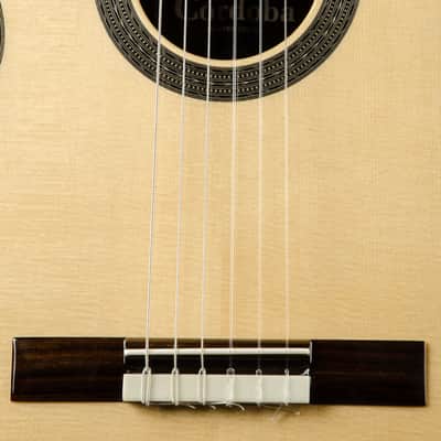 Cordoba Master Series Torres Nylon String -Made in the USA NEW image 4