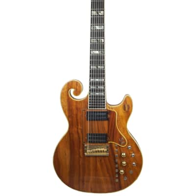 Sam Koontz Joe Cinderella Custom 8-String - 1980 image 1