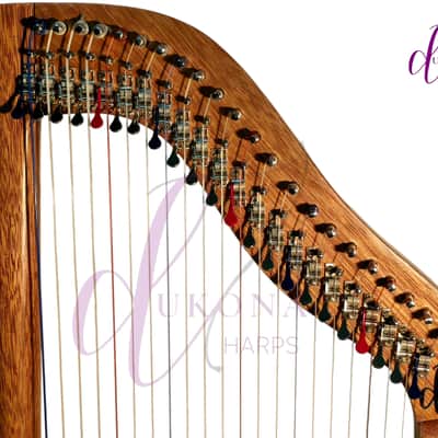 Dukona Internationals Dukona 22-Strings ACF Lyre Harp 2026 - Mohagany with Spruce soundboard image 3