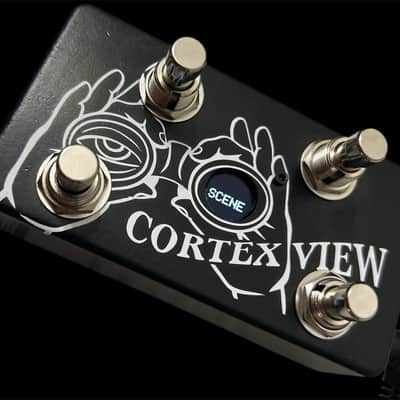 StringVelocity Cortex View image 2