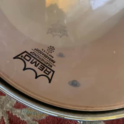 Mapex Pro M Fusion 13 x 10 Tom Rack Drum Maple w/ Mount image 8