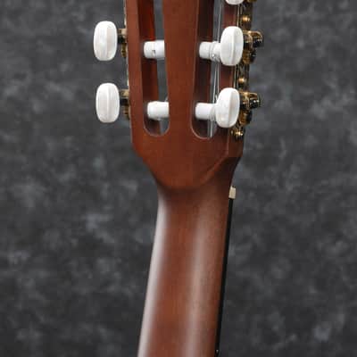 Ibanez AEG50N-BKH AEG Nylon String Guitar 6-String - Black High Gloss image 2