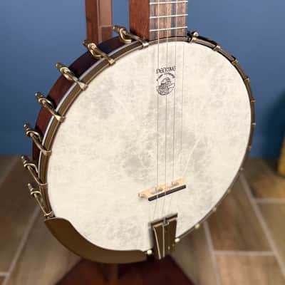 Custom Vega Senator 19-Fret Tenor Banjo with Fiberskin head, Vintage Star Hardware and Marbled Fretboard image 16