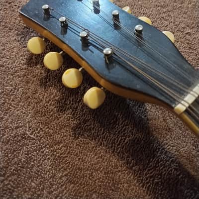 Vega Little Wonder Banjo Mandolin 1920 image 15