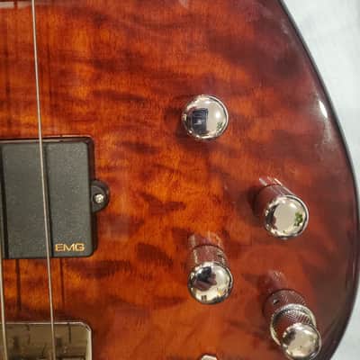 ESP LTD Surveyor-400 2006 - 2007 - Natural image 11