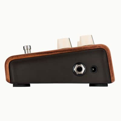 LR Baggs Align Series Reverb Acoustic Guitar Effects Pedal Bundle w/ 12x Picks and Liquid Audio Polishing Cloth image 4