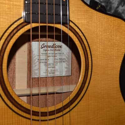 Immagine 2024 Breedlove - Organic Pro Performer CN Acoustic Electric - Aged top Toner, Burst back - 3