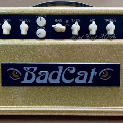 Bad Cat Hot Cat 30R - Custom Shop Gold Sparkle Cabinet image 1
