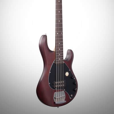 Sterling by Music Man Ray5 StingRay 5-String Electric Bass, Walnut Satin image 4