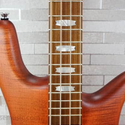 Spector Euro 4 RST - Sienna Stain image 3