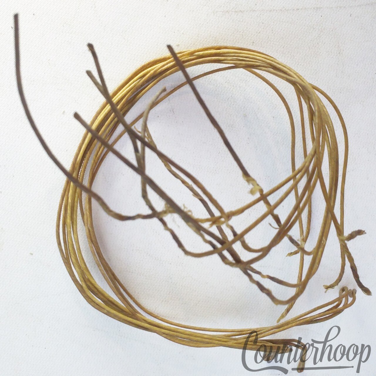 Ludwig 14" Catgut(Sheep)Natural Snare Drum Wires/12x Strands Vintage 10s Cat Gut — main photograph