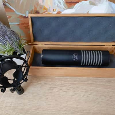 Mint Bash Audio RM BIV-3 Double-ribbon microphone XLR image 4
