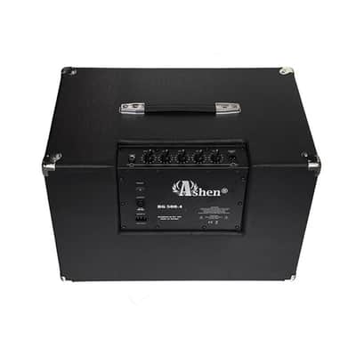 Ashen 210 "Mighty500" BG500 2x10 Portable Bass Combo 500 Watts image 5