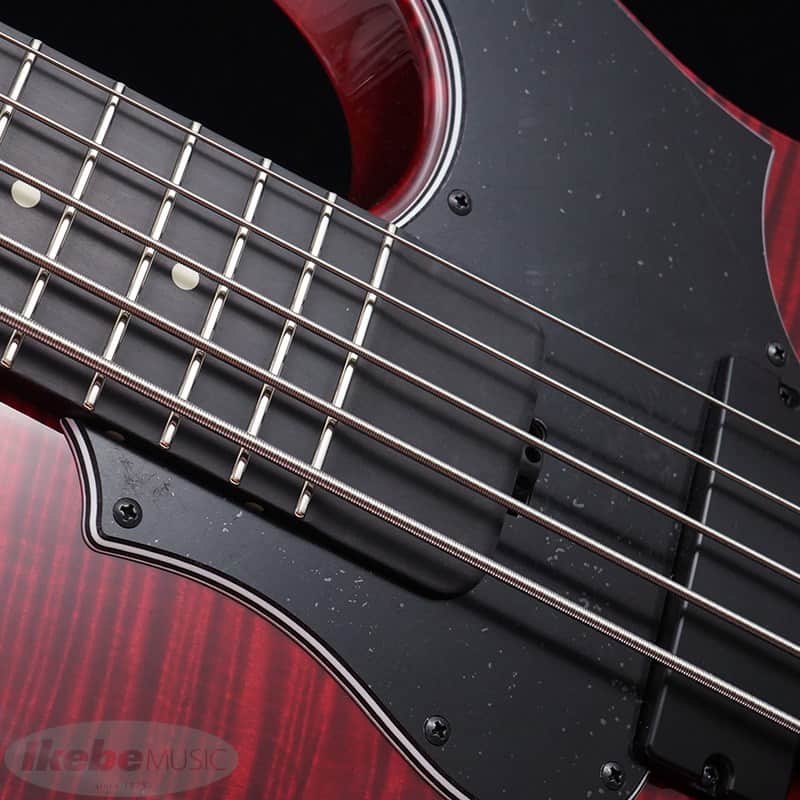 ESP AMAZE-5-190 [IKUO Signature Model] -Made in Japan- | Reverb