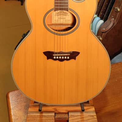 Washburn EA-2000 1999 - Natural image 3