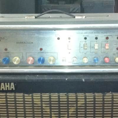 Vintage Goya "Barracuda"Non Working Amplifer Head..Parts or Restore, Collectible, Rare image 1