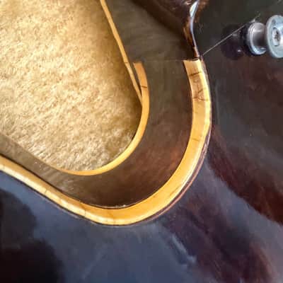 Greco SA-700W 1975 - Walnut image 5
