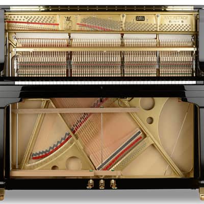 PETROF ANT. PROF 136 CONCERT UPRIGHT PIANO Premier Upright/Grand style image 3