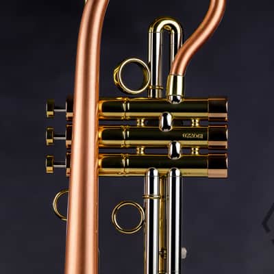 Taylor 46 Balladeer Bb trumpet / flugelhorn hybrid 2020, matte lacquer image 5