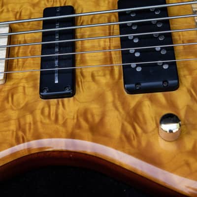 Left Handed Nordstrand Very Custom 5 String Bass image 6