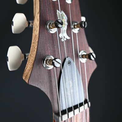 PRS 40th Anniversary Special Semi-Hollow Limited Edition Faded Whale Blue (Natural Back) #755 image 10