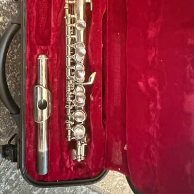 Piccolo with Case image 1