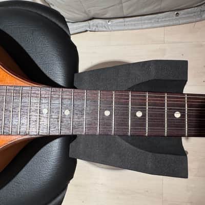 Vintage Bowlback 12 String Mandolin - Mandriola / Trichord image 20