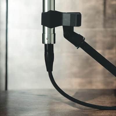 Warm Audio WA-FT Fen-tone Instrument Ribbon Microphone image 2
