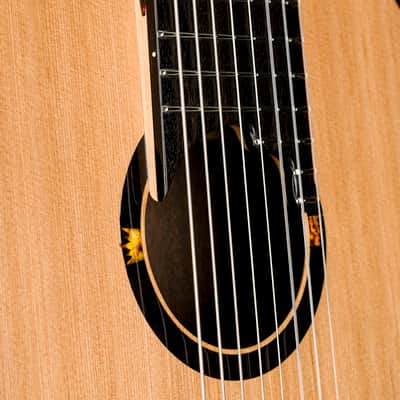 Turkowiak double-top 8 string classical guitar No 672 Opus Prime image 6