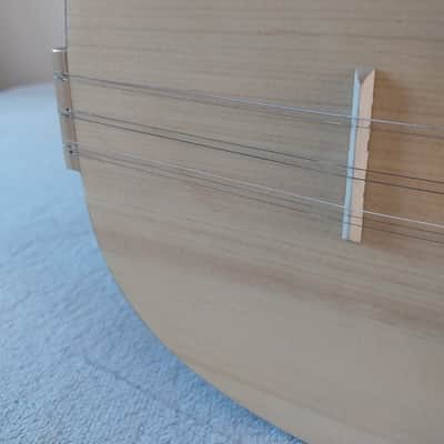Shah Electro acoustic Saz,long neck Baglama 2025 image 2