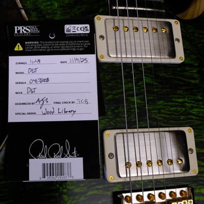 PRS Wood Library DGT Flame Maple - Jade image 10