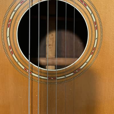 Washburn Concert/Parlor Circa 1885 - Natural image 2