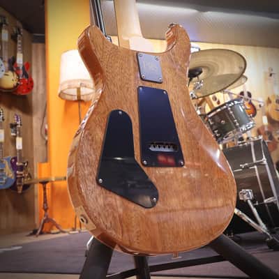 PRS CE24 Carroll Blue - Carroll Blue image 6