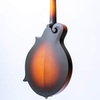 Eastman MD315E-SB image 3