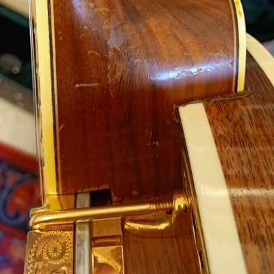 Ome Juggernaut II tenor banjo image 15