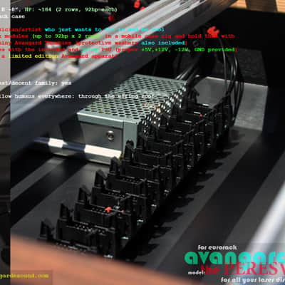 NEW! Avantgarde Sound • The Peresvet • 186hp Fully Powered Eurorack Case w/Wheels! image 11